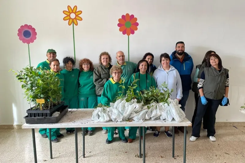 Más de mil árboles llegaban hoy a Peñaranda
