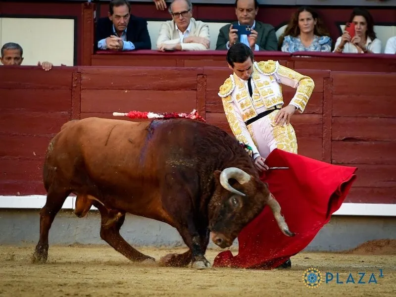 Imágenes del festejo. Fotos: @LasVentas