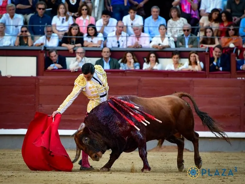 Imágenes del festejo. Fotos: @LasVentas