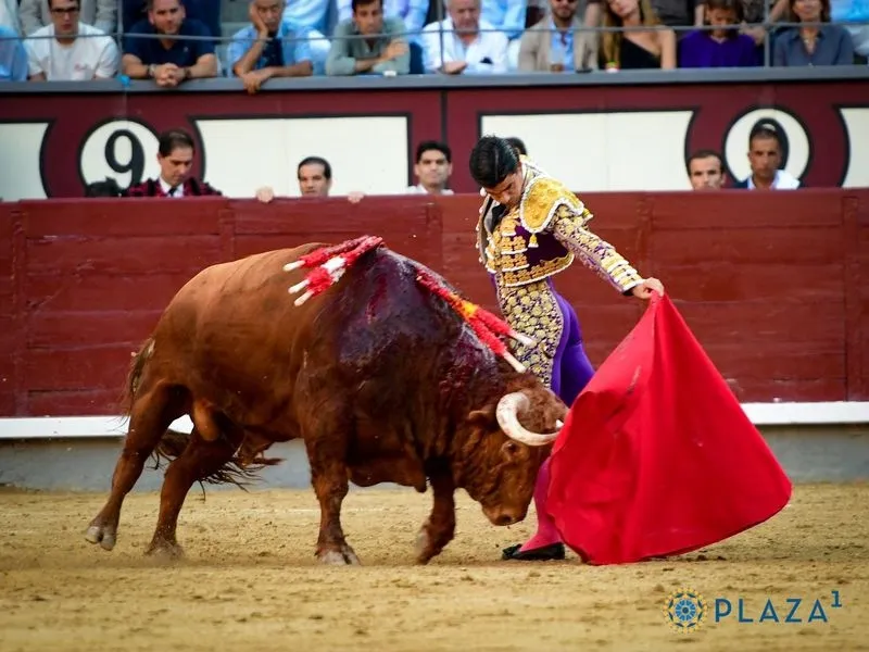 Imágenes del festejo. Fotos: @LasVentas