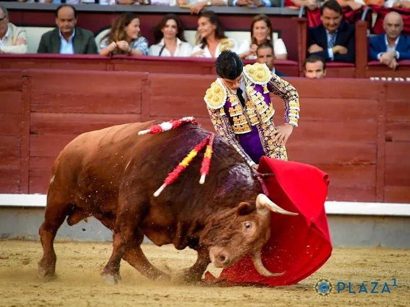 Imágenes del festejo. Fotos: @LasVentas