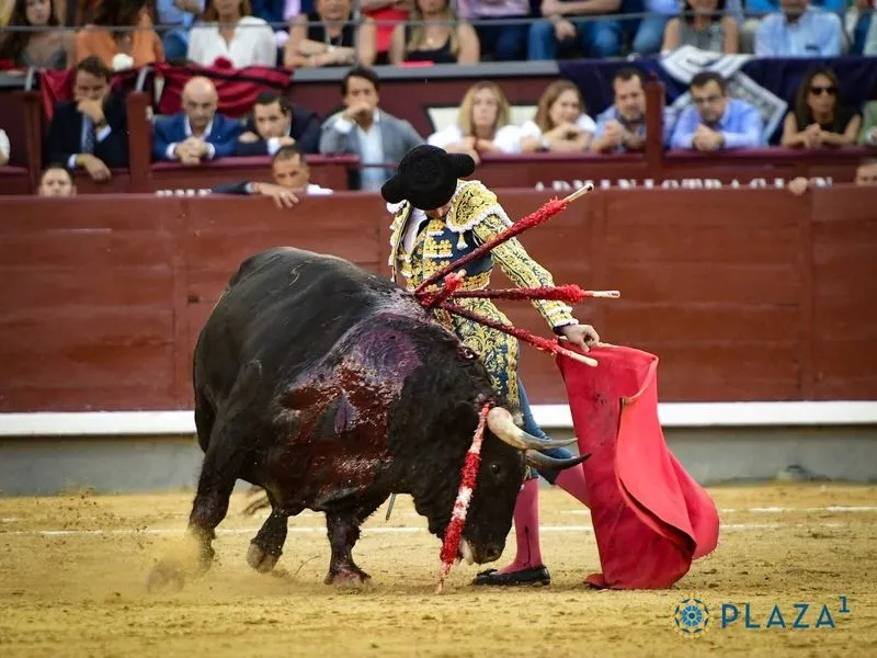 Imágenes del festejo. Fotos: @LasVentas
