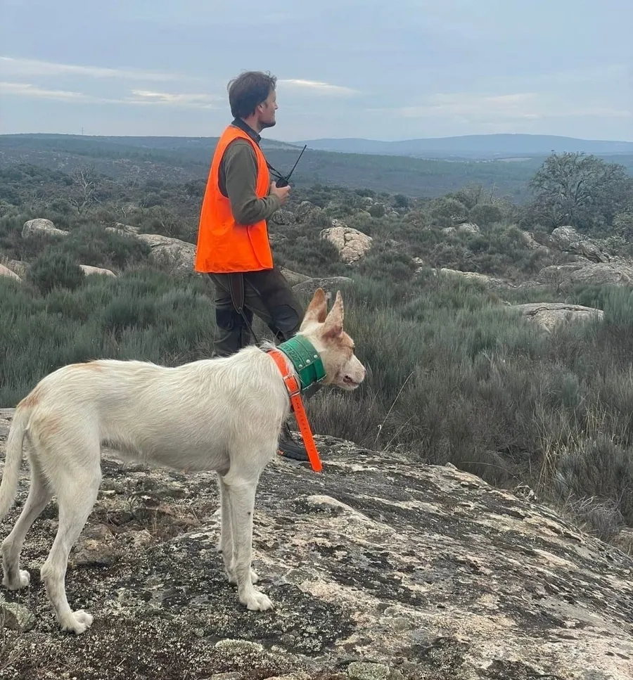 Foto 2 - Villar de la Yegua estrena la temporada de caza con una satisfactoria monter&iacute;a