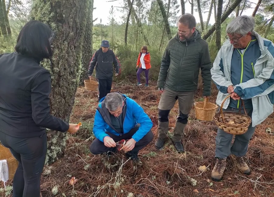 Foto 2 - Las Jornadas Micol&oacute;gicas de Salamanca re&uacute;nen a 130 comensales en Serradilla del Arroyo