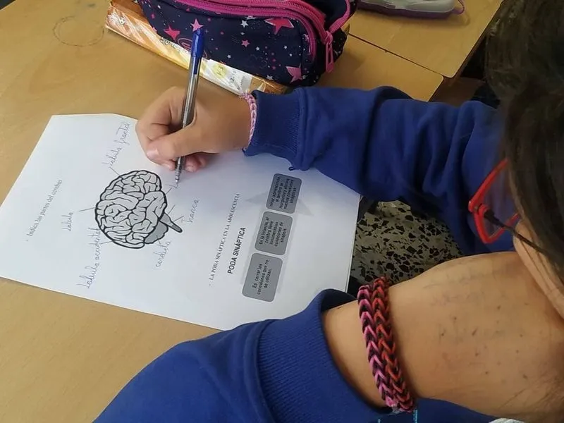 Foto 4 - Alumnos del colegio San Juan Bosco de Salamanca participan en 'Conoce tu cerebro. T&eacute;cnicas de apoyo al estudio'