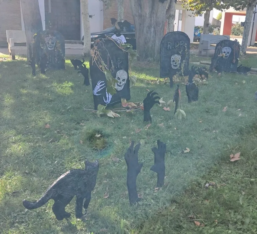 Foto 3 - Crece el cementerio instalado por los usuarios de Asprodes en Sanjuanejo