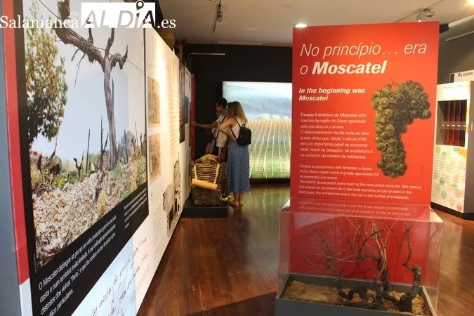 El pan y el vino, metáfora del carácter portugués | Reportaje Gráfico de R. MARTÍN-GARAY desde el Museo del Pan y el Vino de Favaios (Portugal) 