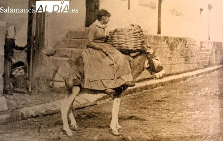 El pan y el vino, metáfora del carácter portugués | Reportaje Gráfico de R. MARTÍN-GARAY desde el Museo del Pan y el Vino de Favaios (Portugal) 