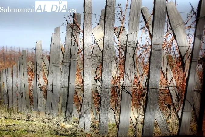El pan y el vino, metáfora del carácter portugués | Reportaje Gráfico de R. MARTÍN-GARAY desde el Museo del Pan y el Vino de Favaios (Portugal) 