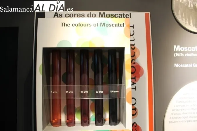 El pan y el vino, metáfora del carácter portugués | Reportaje Gráfico de R. MARTÍN-GARAY desde el Museo del Pan y el Vino de Favaios (Portugal) 