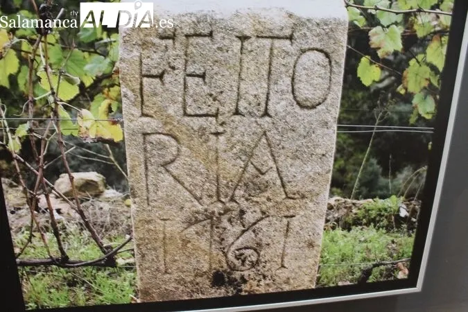 El pan y el vino, metáfora del carácter portugués | Reportaje Gráfico de R. MARTÍN-GARAY desde el Museo del Pan y el Vino de Favaios (Portugal) 