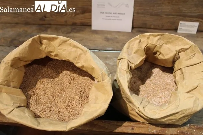 El pan y el vino, metáfora del carácter portugués | Reportaje Gráfico de R. MARTÍN-GARAY desde el Museo del Pan y el Vino de Favaios (Portugal) 
