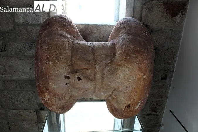 El pan y el vino, metáfora del carácter portugués | Reportaje Gráfico de R. MARTÍN-GARAY desde el Museo del Pan y el Vino de Favaios (Portugal) 