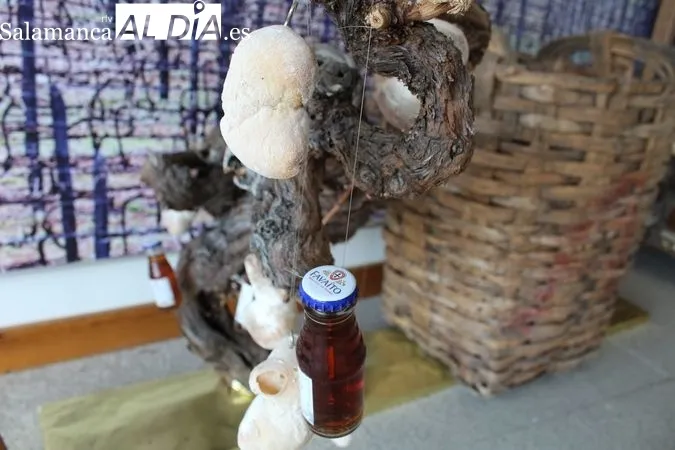 El pan y el vino, metáfora del carácter portugués | Reportaje Gráfico de R. MARTÍN-GARAY desde el Museo del Pan y el Vino de Favaios (Portugal) 
