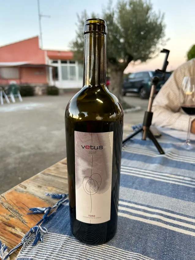 Cata de Vetus 2019 / FOTOS: JAVIER BRAGADO