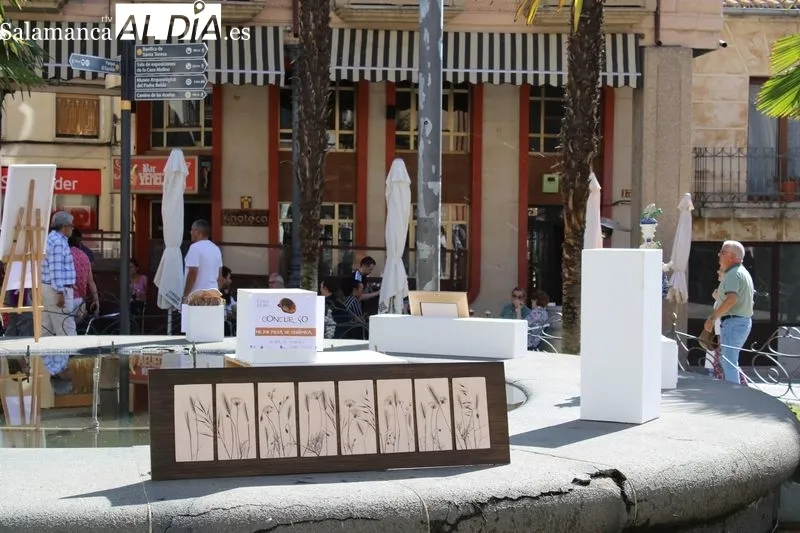 Foto 8 - La Feria del Barro llena de artesan&iacute;a la Plaza Mayor de Alba de Tormes