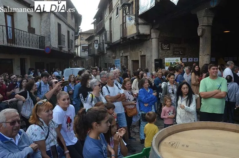 Foto 3 - &Eacute;xito de la Fiesta de la Vendimia Tradicional en San Mart&iacute;n del Casta&ntilde;ar