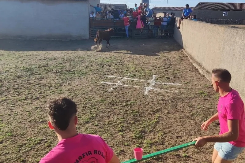 Foto 6 - Una capea de vaquillas y un Gran Prix, broche a las fiestas en Valderrodrigo