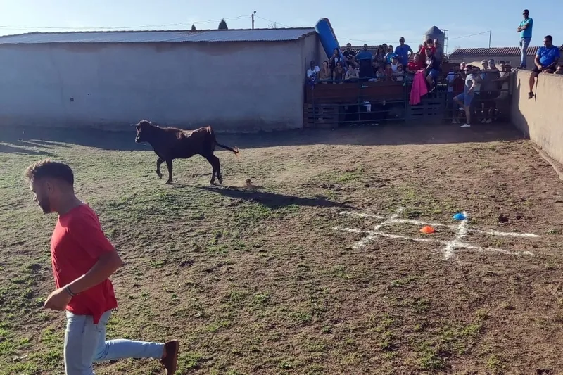 Foto 4 - Una capea de vaquillas y un Gran Prix, broche a las fiestas en Valderrodrigo