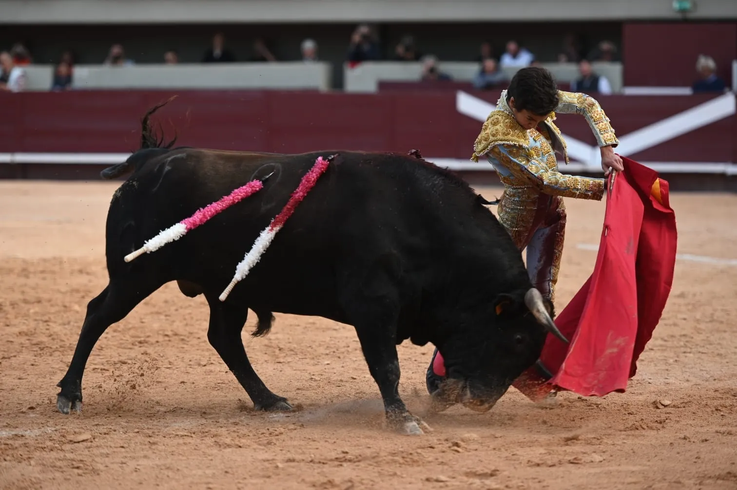 Foto 10 - Marco P&eacute;rez, un debut sobresaliente