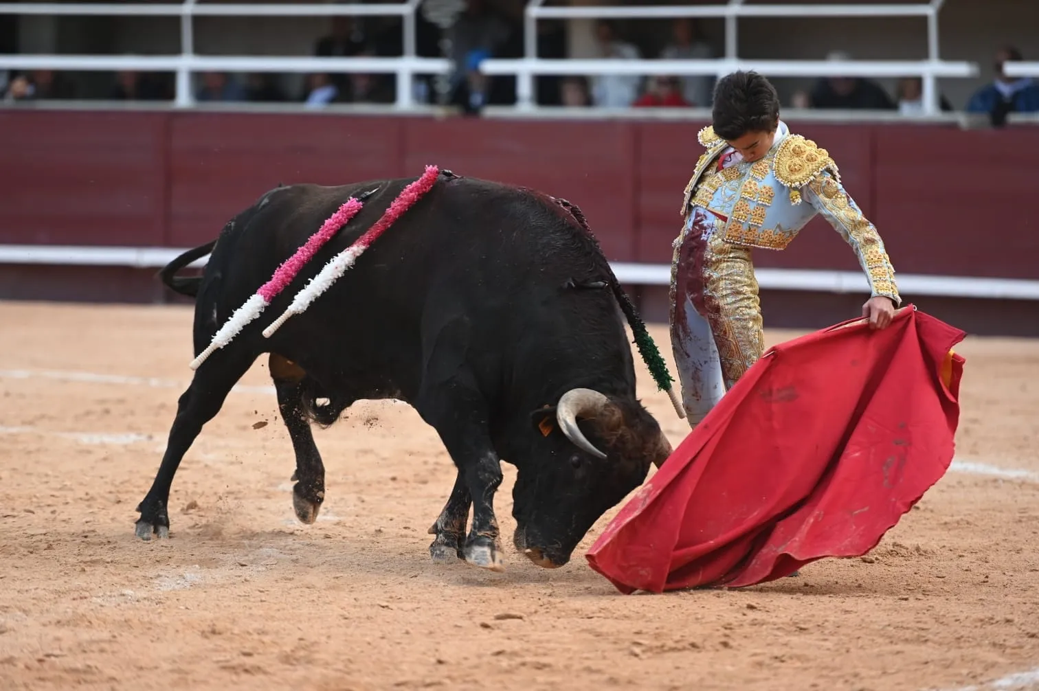 Foto 9 - Marco P&eacute;rez, un debut sobresaliente