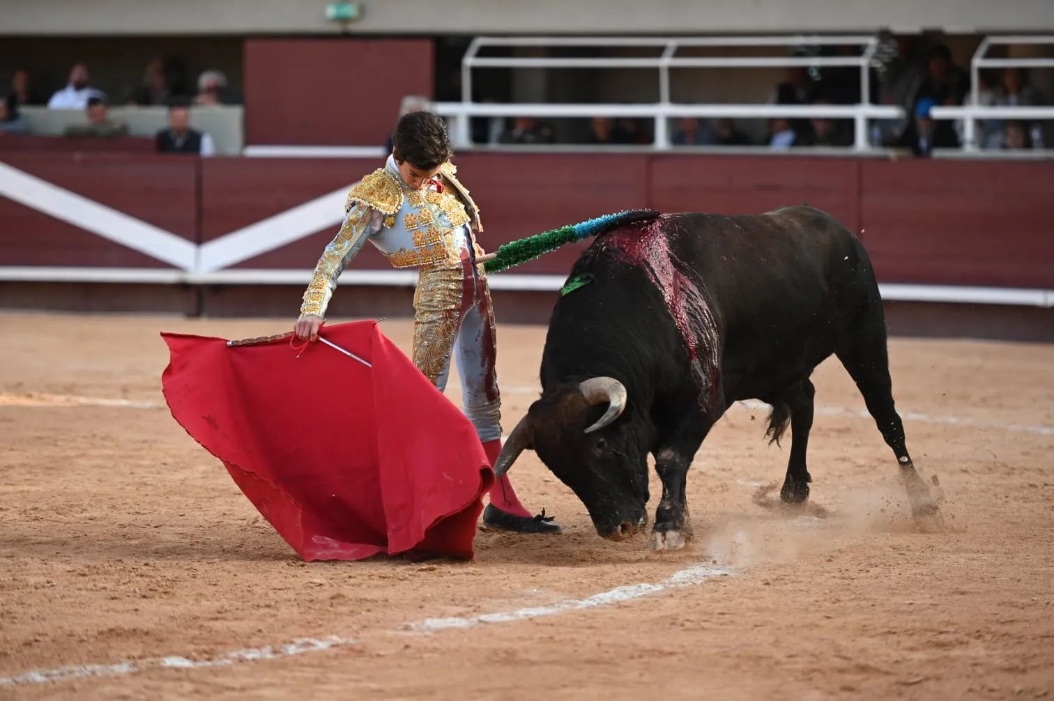 Foto 6 - Marco P&eacute;rez, un debut sobresaliente