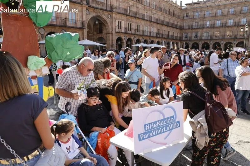 Actos de ASPACE en la Plaza Mayor de Salamanca con motivo del Día Mundial de la Parálisis Cerebral