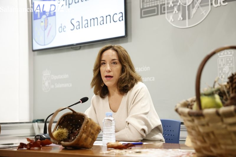 Presentación en la Diputación de las acciones de desarrollo de promoción de la Castañicultura en la provincia de Salamanca para este otoño. Foto de David Sañudo