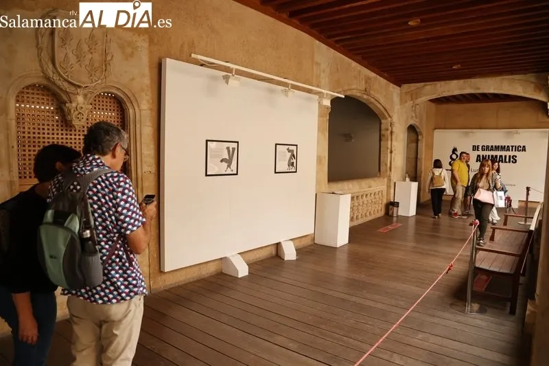Exposición 'De grammatica animalis', en la Casa de las Conchas. Foto de David Sañudo