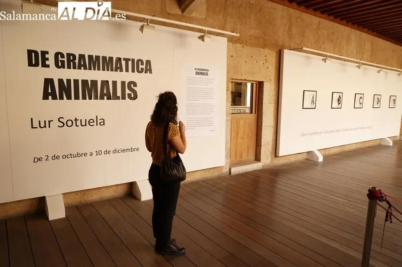 Exposición 'De grammatica animalis', en la Casa de las Conchas. Foto de David Sañudo