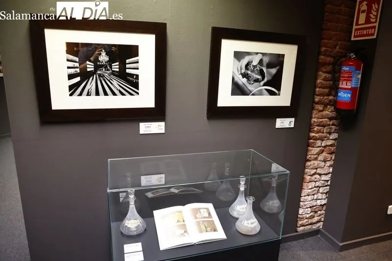 Entrega de los premios del XII Concurso de Fotografía del Museo del Comercio. Foto de David Sañudo