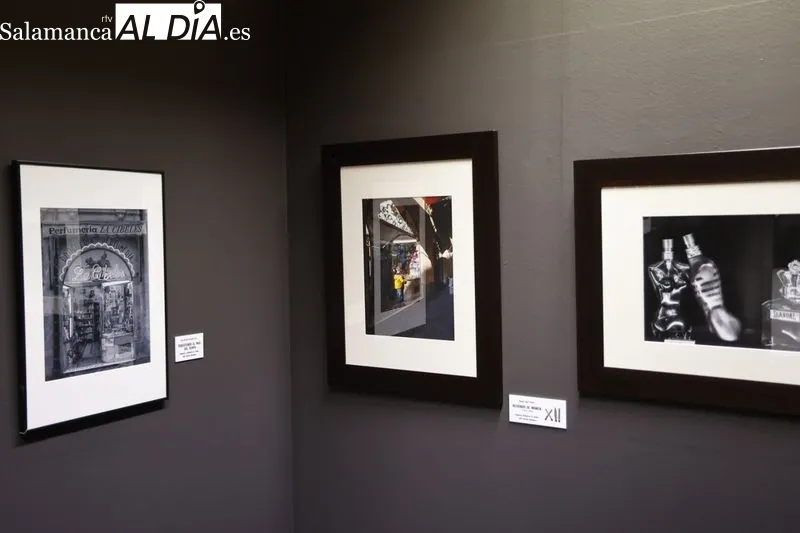 Entrega de los premios del XII Concurso de Fotografía del Museo del Comercio. Foto de David Sañudo