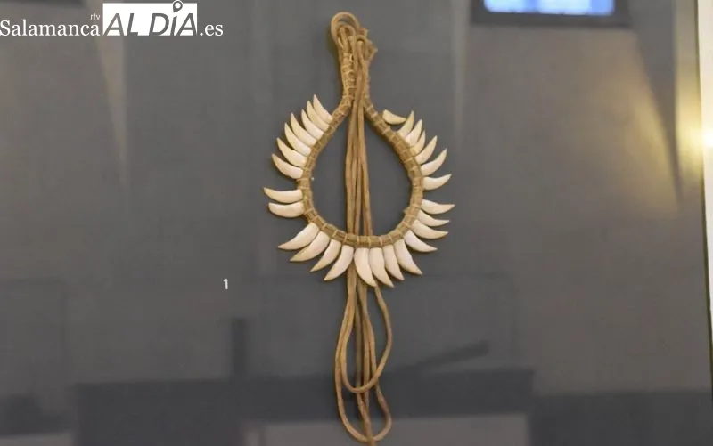 Muestra 'Un indio descenderá de una estrella. Viaje filosófico a la Amazonía (1783-1792)', en el Aula Lucía de Medrano del Edificio de las Escuelas Mayores. Foto de Vanesa Martins