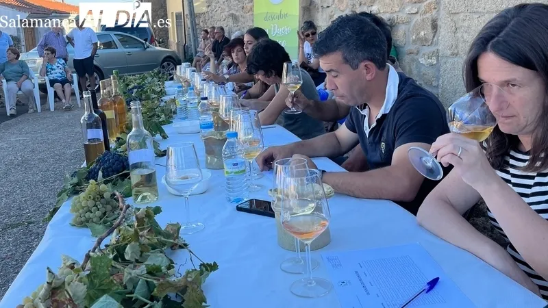 El Concurso de Vinos 'Sabor de Arribes' trata de homenajear a los viticultores del territorio adscrito a la D. O. Arribes  