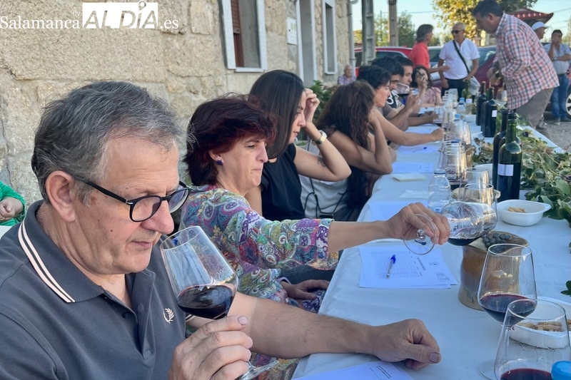 El Concurso de Vinos 'Sabor de Arribes' trata de homenajear a los viticultores del territorio adscrito a la D. O. Arribes  