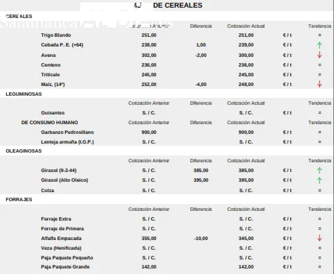 El vacuno no se mueve / CORRAL