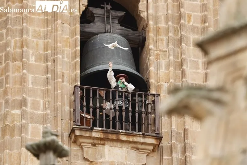 Subida del Mariquelo a la Catedral de Salamanca. Foto de David Sañudo