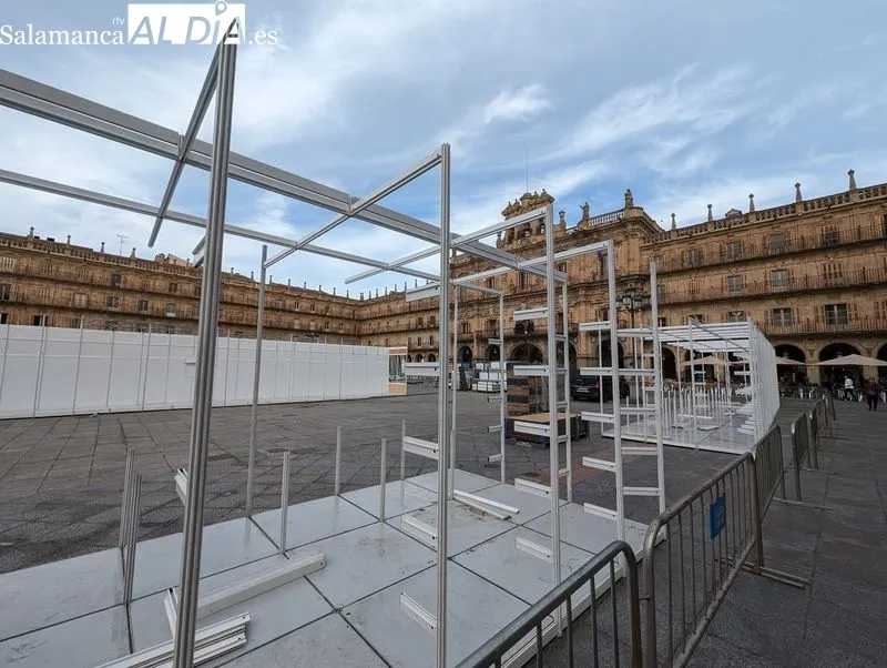 Trabajos de esta mañana en la Plaza Mayor de Salamanca. Foto de David Sañudo