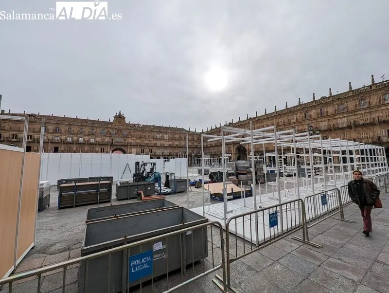 Trabajos de esta mañana en la Plaza Mayor de Salamanca. Foto de David Sañudo