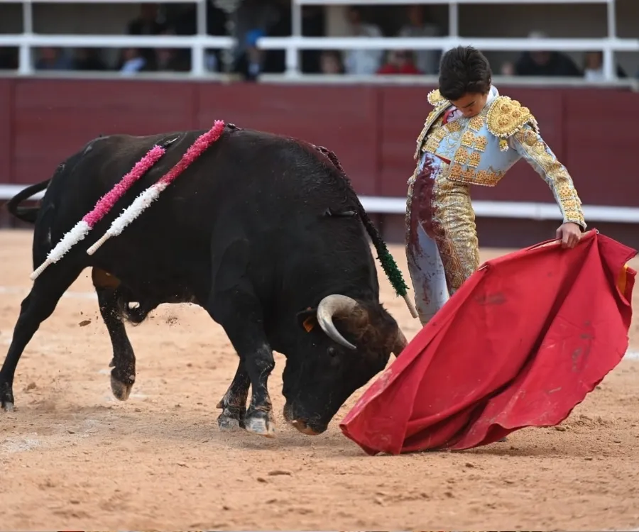 Foto 11 - Marco P&eacute;rez, un debut sobresaliente