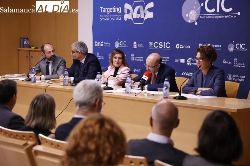 Foto 2 - Investigadores de Salamanca logran nuevos avances y terapias frente a uno de los c&aacute;nceres m&aacute;s letales