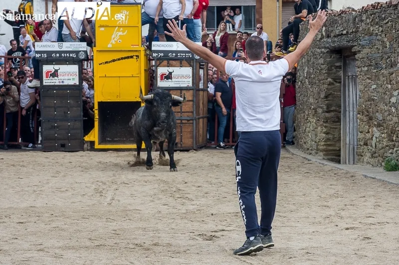 Foto 11 - El toro del caj&oacute;n vuelve por sus fueros: lleno hasta la bandera