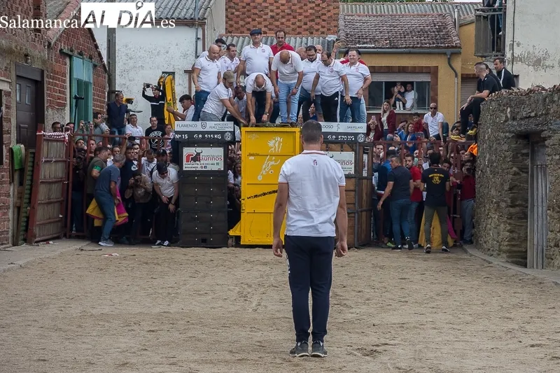 Foto 9 - El toro del caj&oacute;n vuelve por sus fueros: lleno hasta la bandera