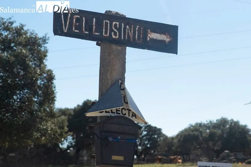 Ganadería de Vellosino. Foto de Pablo Angular