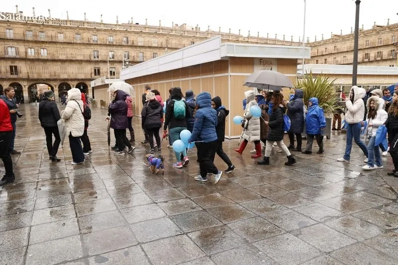 'Caminata solidaria por la diabetes'. Fotos: David Sañudo