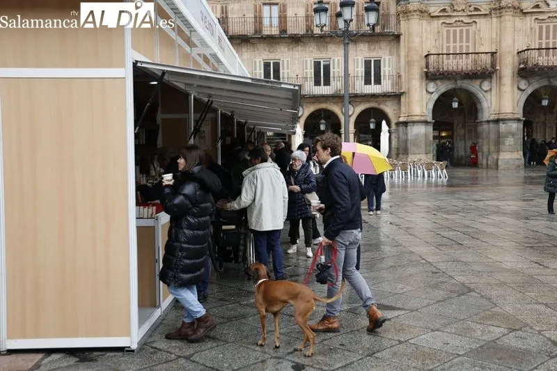 Primer día de la Feria del Libro Antiguo y de Ocasión en la Plaza Mayor de Salamanca. Fotos: David Sañudo