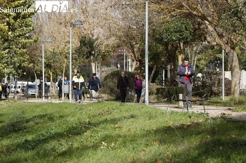 Ambiente en la mañana de este domingo en el Rastro y en la zona de La Aldehuela. Fotos: David Sañudo