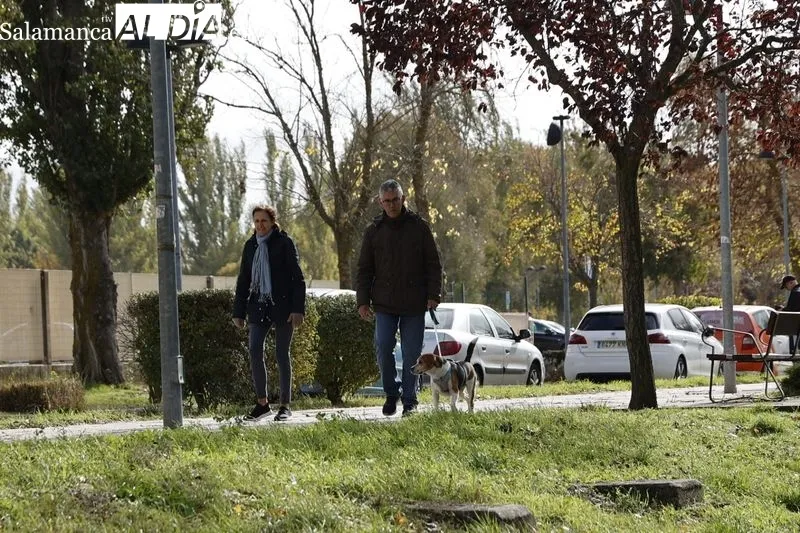 Ambiente en la mañana de este domingo en el Rastro y en la zona de La Aldehuela. Fotos: David Sañudo