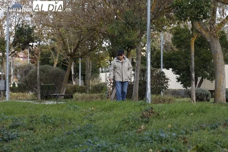 Ambiente en la mañana de este domingo en el Rastro y en la zona de La Aldehuela. Fotos: David Sañudo