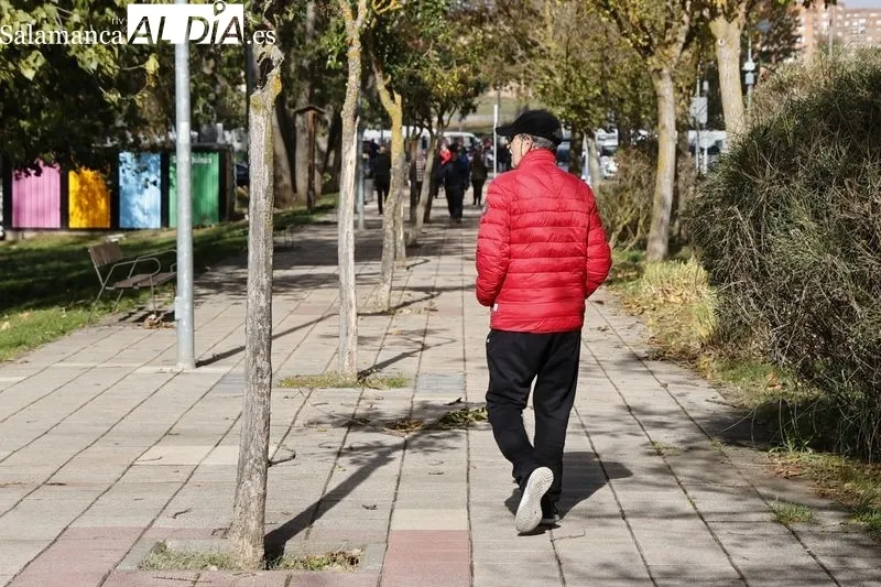 Ambiente en la mañana de este domingo en el Rastro y en la zona de La Aldehuela. Fotos: David Sañudo